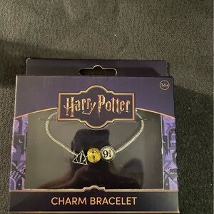 Warner Bros. Harry Potter Blue and Gold Box
